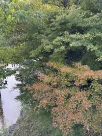 伊勢神宮是日本最具代表性的神道教神社