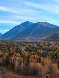 Golden Silence: Discovering Hemu in Autumn