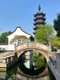Hongmei Park: A Stroll Through Classical Elegance