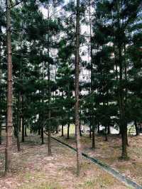 Evening Escapade in the Hills of Taman Saujana Hijau