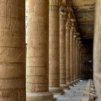 A Morning at Kom Ombo: Where Crocodiles and Falcons Reign