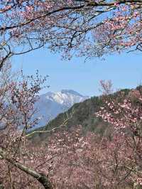Takato Castle Park, Nagano
