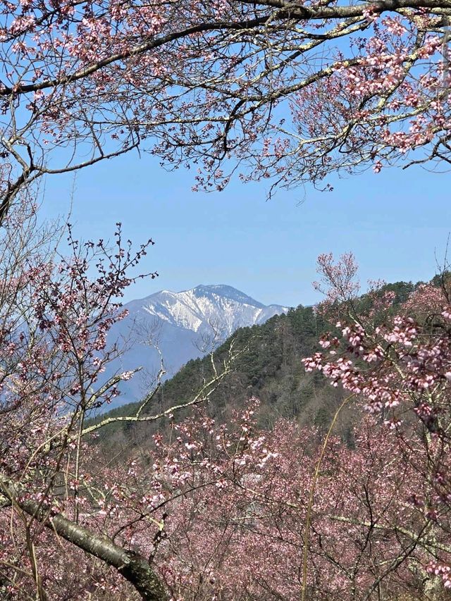 Takato Castle Park, Nagano