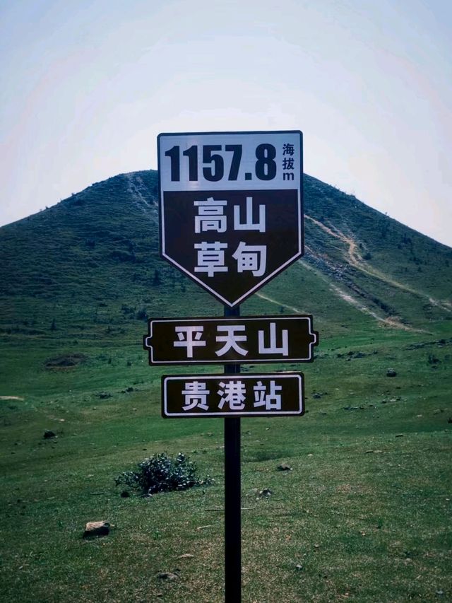 Ping Tian Mountain: A High-Altitude Meadow of Stunning Beauty