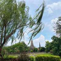 SYAMA AYUDHYA Cafe ศยามะ อยุธยา
