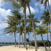 The St. Regis Maldives Vommuli Resort