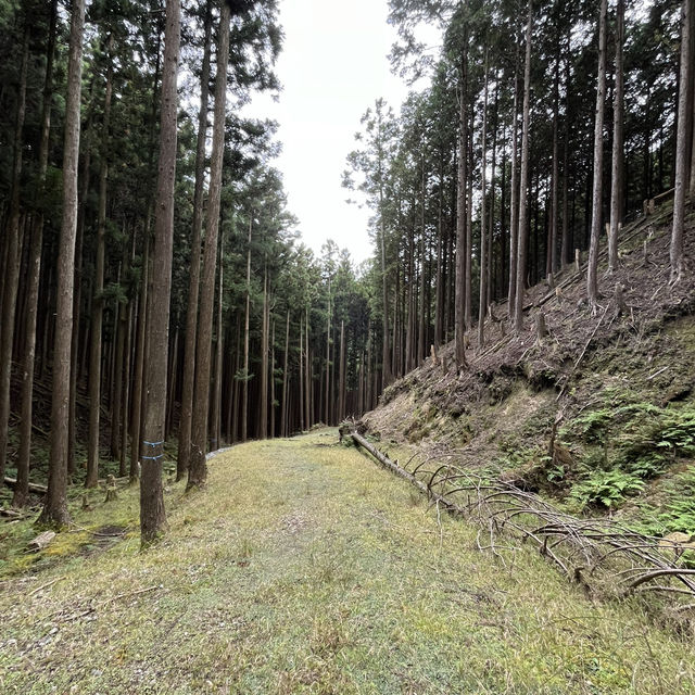 【住塚山・国見山】⛰️   関西百名山