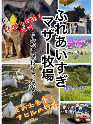 触れ合いすぎたマザー牧場 | Trip.com 富津