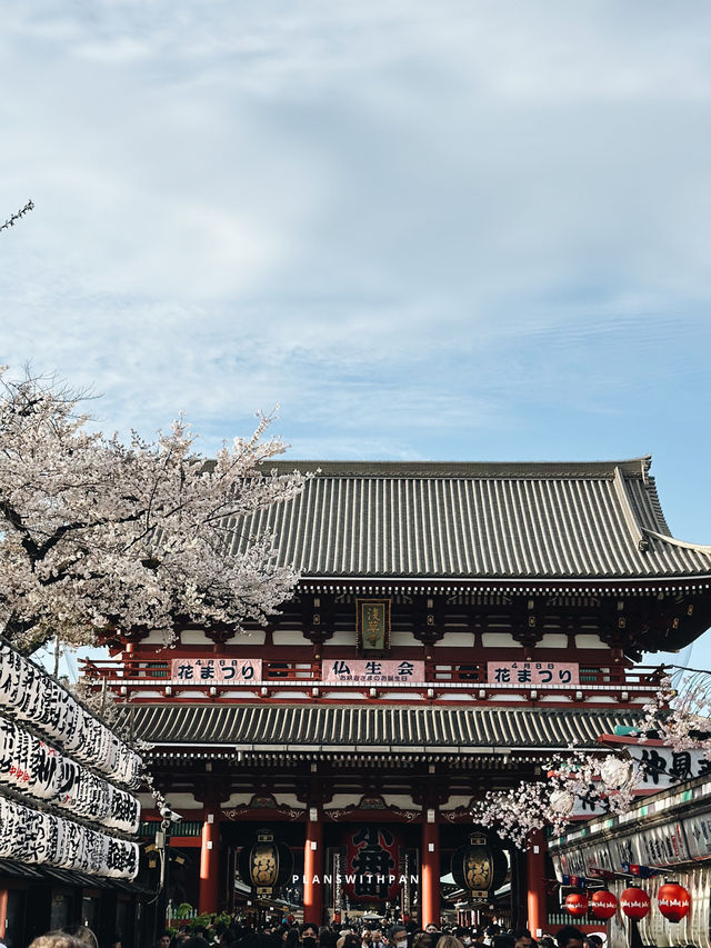 วัดเซ็นโซจิ (Sensoji Temple)🏮✨