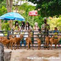 Nong Notch Tropical Park