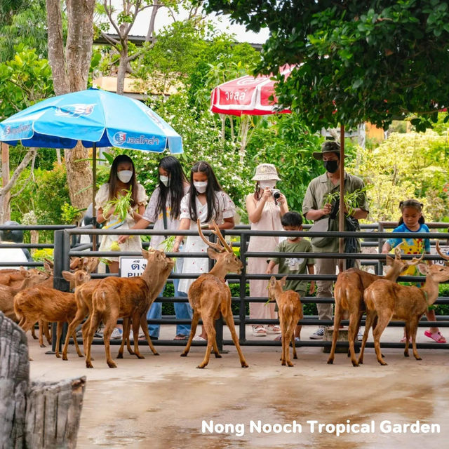 Nong Notch Tropical Park