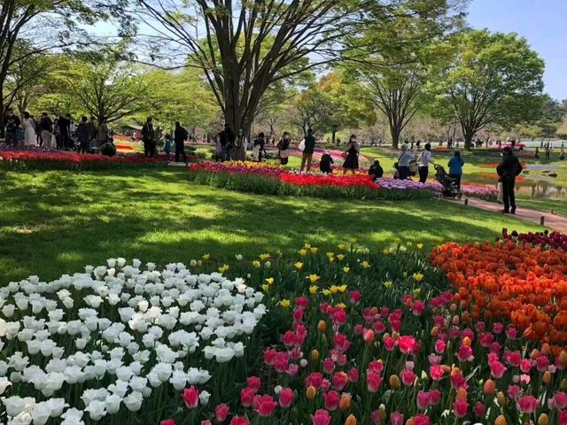 進入了童話世界般的絶世公園
