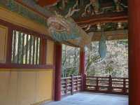“Bulguksa Temple: Where Cherry Blossoms Embrace Timeless Tranquility”