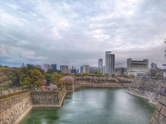Where Osaka’s Warrior Spirit and Spring’s Softness Collide—A Must For First-time Visitors.