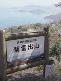 Shikoku's Cherry Blossom Spectacular—Don't Miss Out!