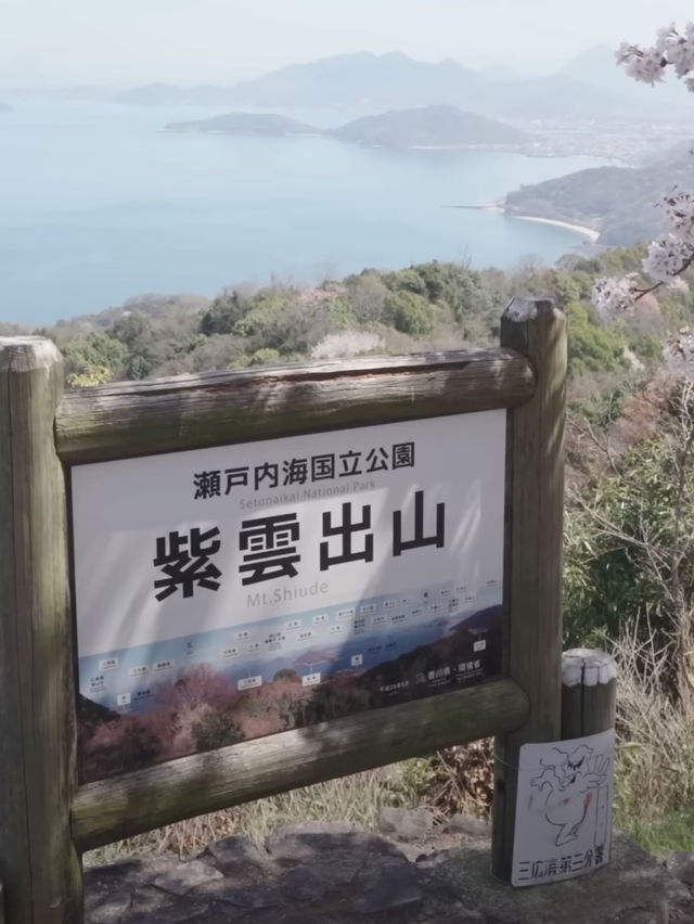 Shikoku's Cherry Blossom Spectacular—Don't Miss Out!