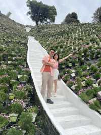 Cameron Highland Flora Park with my love 