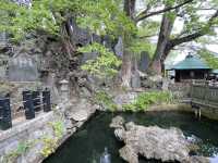 วัดนาริตะซัง และถนนคนเดิน/ Naritasan Omotesando