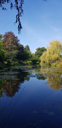 🎨 Fondation Monet in Giverny – 모네의 정원, 꿈같은 아침