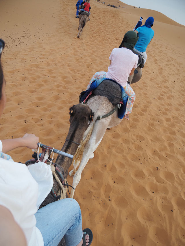 サハラ砂漠🏜️ ラクダに乗ろう〜🐫🏜️💕🇲🇦