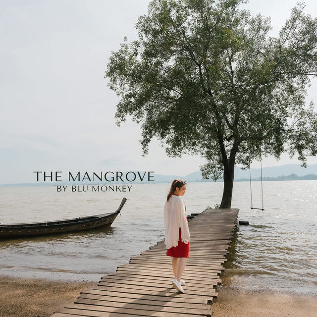 𝗧𝗵𝗲 𝗠𝗮𝗻𝗴𝗿𝗼𝘃𝗲 𝗯𝘆 𝗕𝗹𝘂 𝗠𝗼𝗻𝗸𝗲𝘆 🏞️