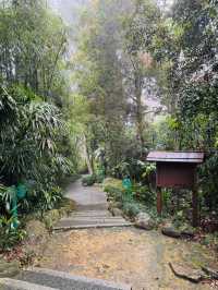 The Tatami Spa Hidden in the Forest