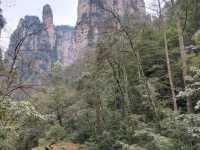Step into a real life fairy tale at Zhangjiajie National Forest Park