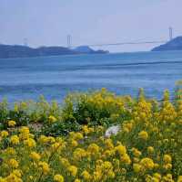 今治市の春の絶景を楽しもう
