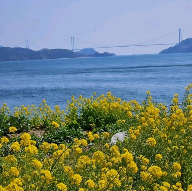 今治市の春の絶景を楽しもう