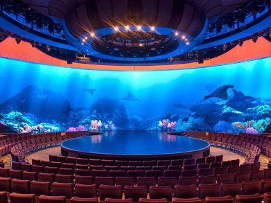 ✨ Celebrity Apex: The Ship That Feels Like a Floating Instagram Dream! 🌊