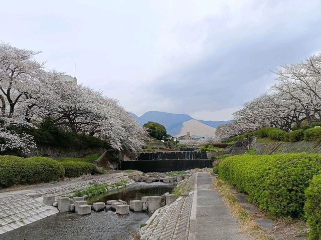 九大本線橫斷 由布院/大分/別府