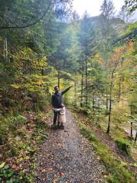 A Fairy Tale Forest Does exist!
