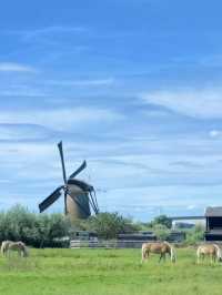 🇳🇱네덜란드 풍차 마을 | 잔세스칸스(Zaanse Schans) 당일치기 여행