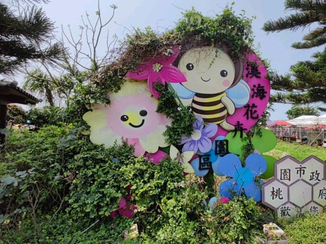 #桃園彩色海芋季-桃園市大園區