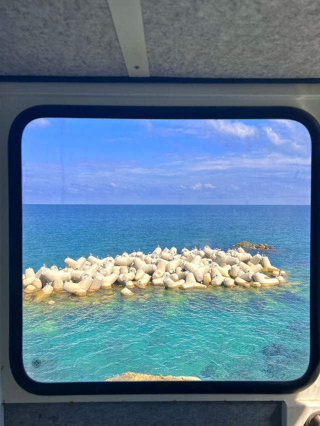 조용한 바닷가 마을 울진 여행 어때요? 🩵