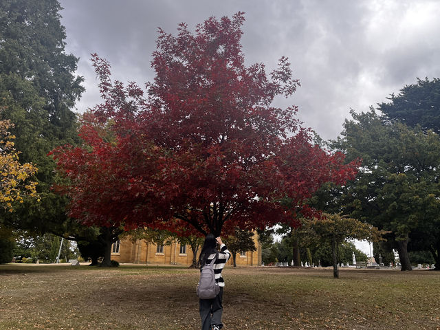 Explore the charming historic small town - Ross Tasmania 