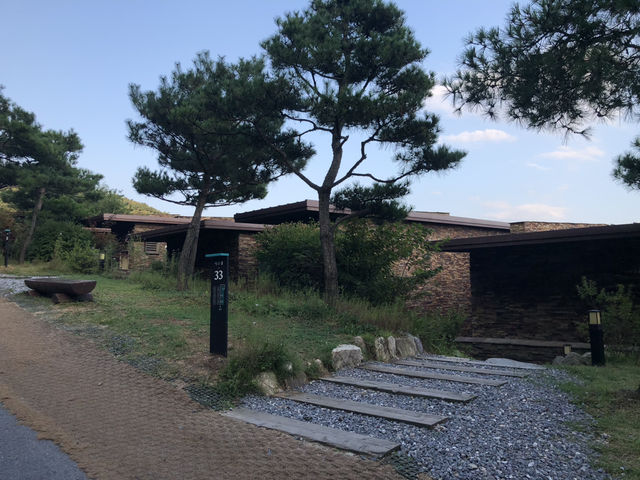 제천에서 만나는 힐링 여정🍂 묵은지 닭도리탕부터 성지 산책, 숲속 리조트까지