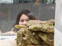 ยก Aquarium มาไว้บนตึกบนใจกลางเมือง Sapporo 