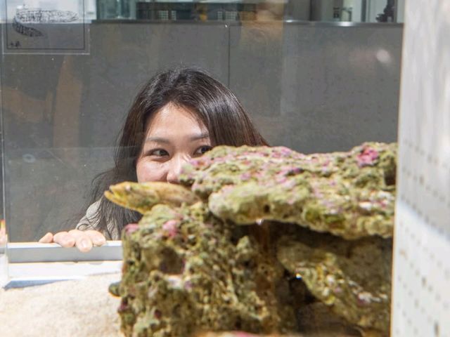 ยก Aquarium มาไว้บนตึกบนใจกลางเมือง Sapporo 