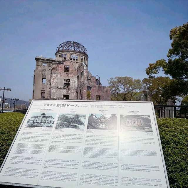 A Day in Hiroshima: History and Blossoms