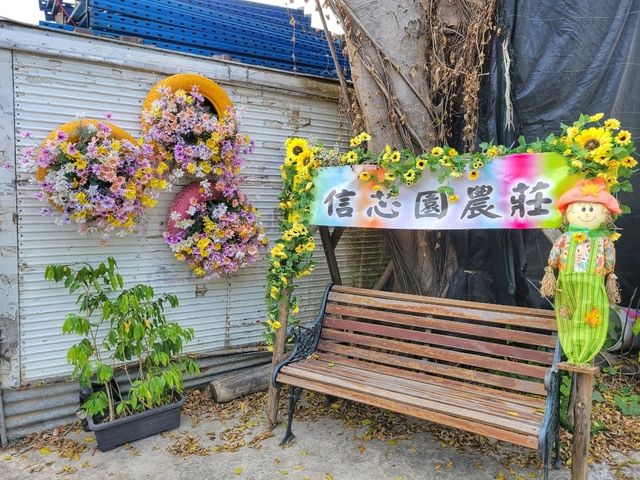 🌸✨ 元朗信芯園——香港隱藏版夢幻花海！ 🌿🌼 