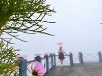 ขับรถขึ้นภูทับเบิก ถ่ายรูปสัมผัสอากาศหนาวกันเถอะ