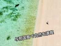 異国情緒溢れる与那国島で自然を満喫🌱