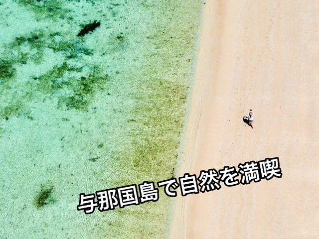 異国情緒溢れる与那国島で自然を満喫🌱