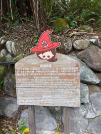Beitou’s Hidden Gem of Natural Wonder