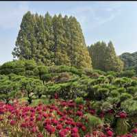 アガペ庭園