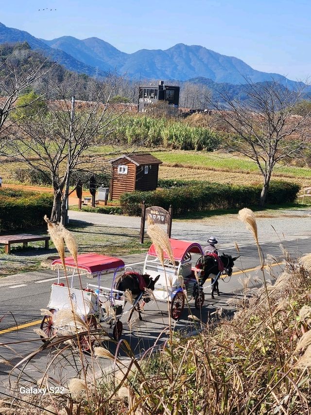 Exploring the Enchanting Charm of Busan, South Korea