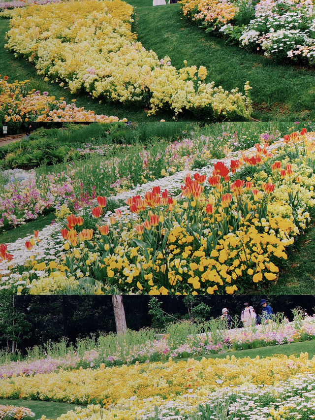 Yokohama’s Sankeien Garden: Like a Monet Palette Spilled Everywhere