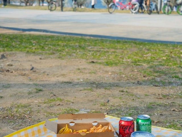 [🇰🇷ソウル] ヨイドで楽しむテイクアウトピクニック「カツアジ ヨイドテン」 