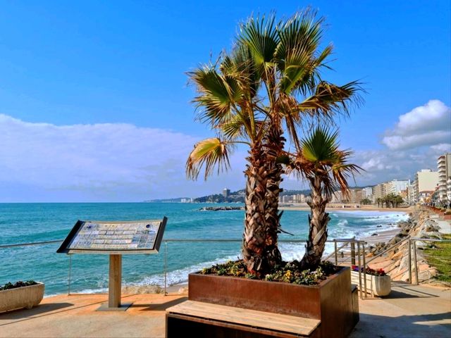 布拉瓦海岸特殊地區的迷人海灣和海灘